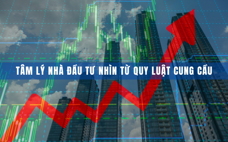 Tâm lý nhà đầu tư nhìn từ quy luật cung cầu