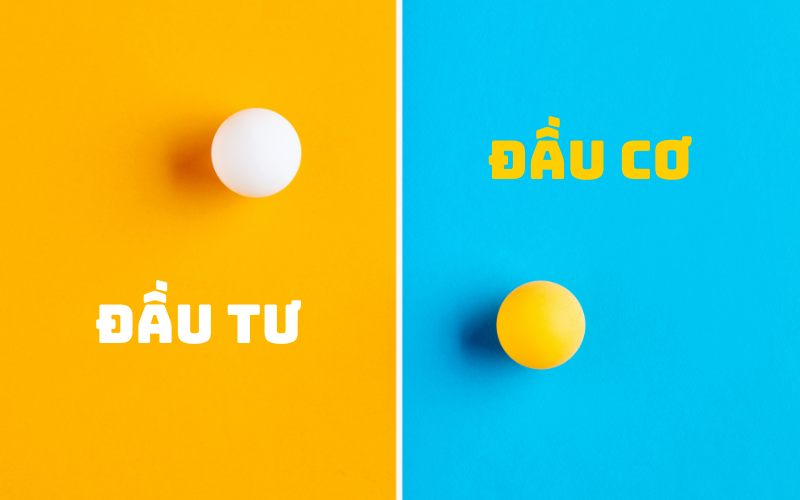 Phân biệt Đầu cơ và Đầu tư: Khác biệt then chốt cho Lựa chọn sáng suốt