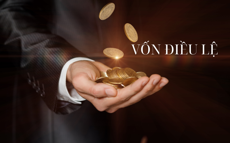 Vốn điều lệ: Định nghĩa, tác động và những điều cần lưu ý